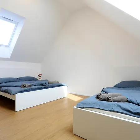 Apartment Frolkova