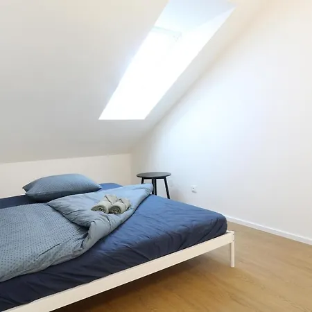 Frolkova Apartment Straznice